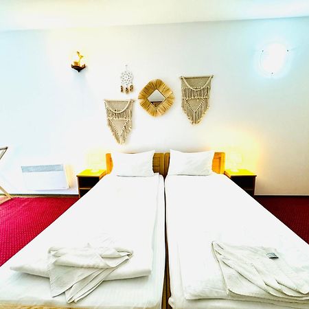 Zen Eco Villa Sfântu Gheorghe Dış mekan fotoğraf