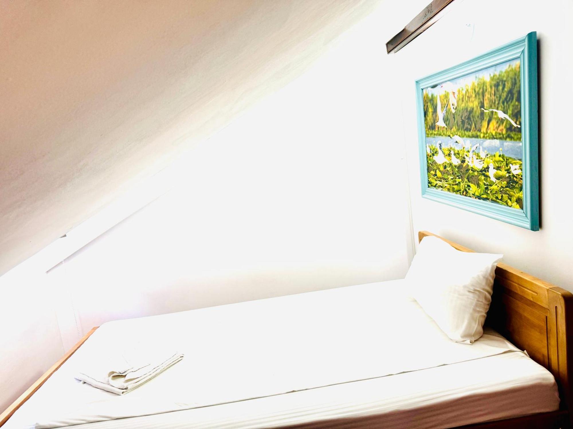 Zen Eco Villa Sfântu Gheorghe Dış mekan fotoğraf