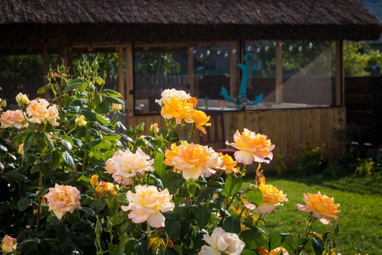 Zen Eco Villa Sfântu Gheorghe Dış mekan fotoğraf