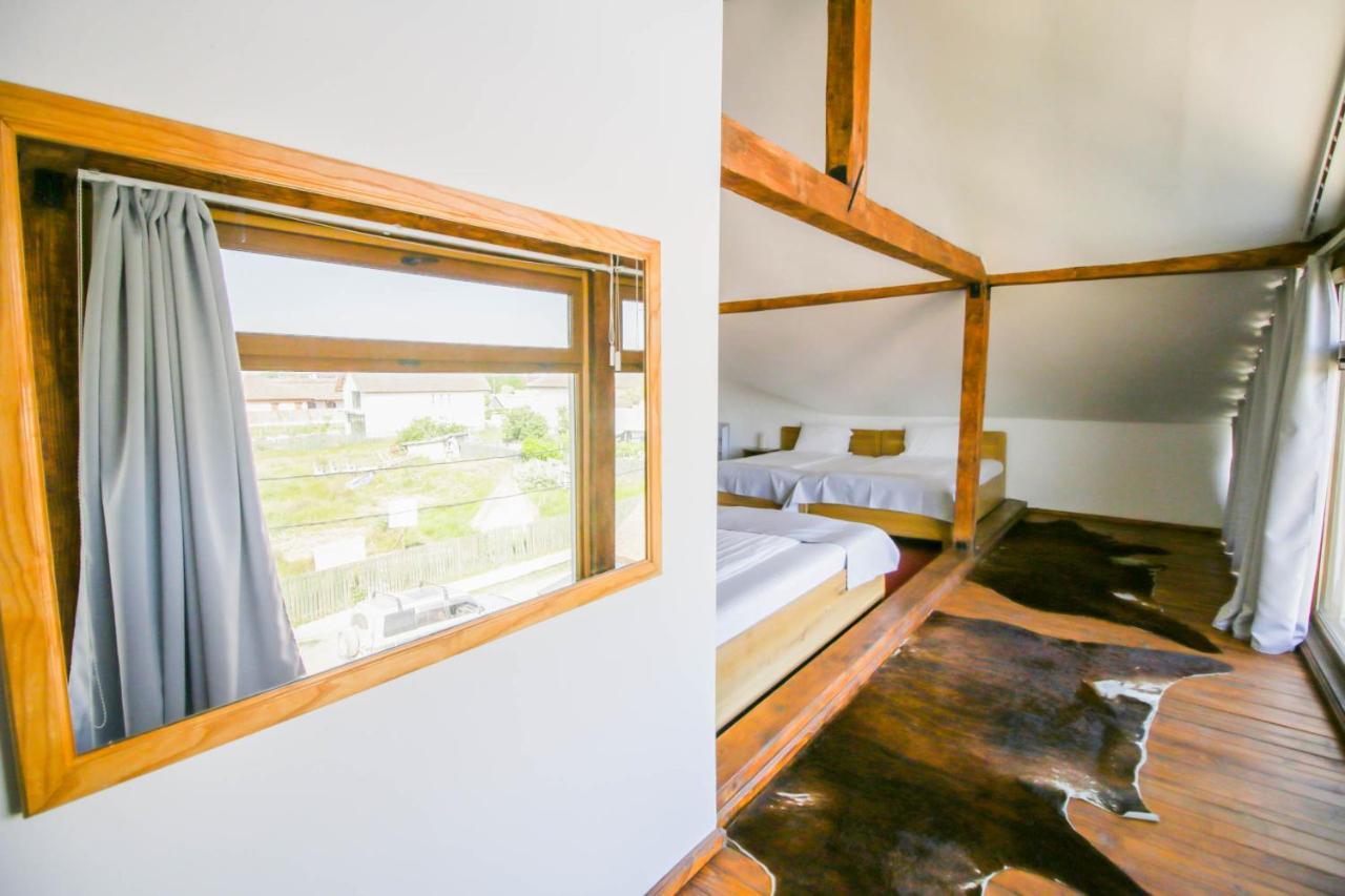 Zen Eco Villa Sfântu Gheorghe Dış mekan fotoğraf